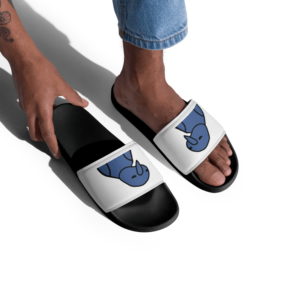 Ski Slides product image (5)