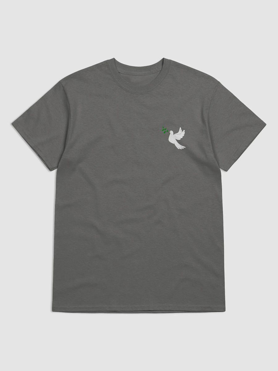 Jesus is King T-Shirt product image (27)