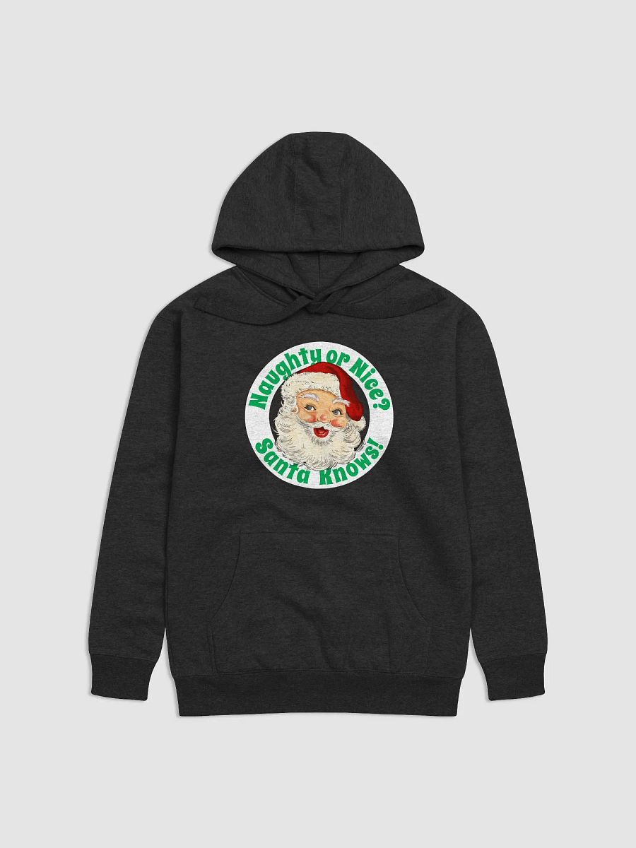 Naughty Or Nice? Santa Knows! product image (2)