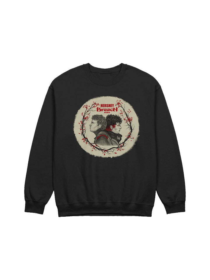 Breach Hersheypark Stadium Pullover product image (1)
