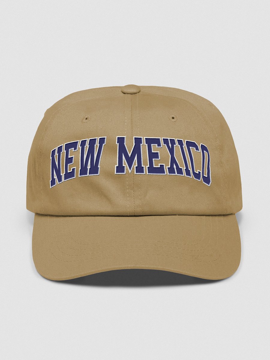 New Mexico Vintage Stylish Classic Dad Hat product image (2)