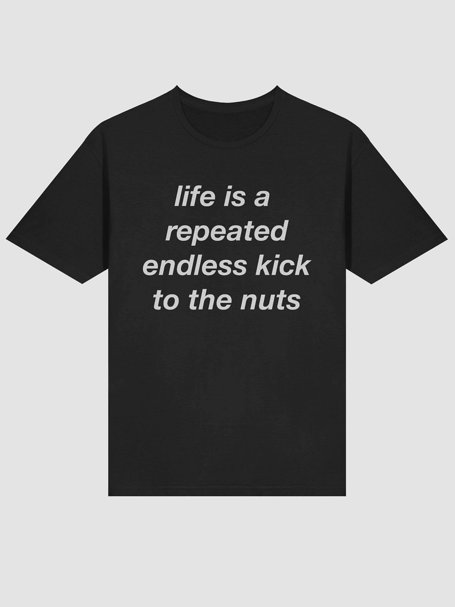 Life is repeated endless kick to the nuts product image (3)