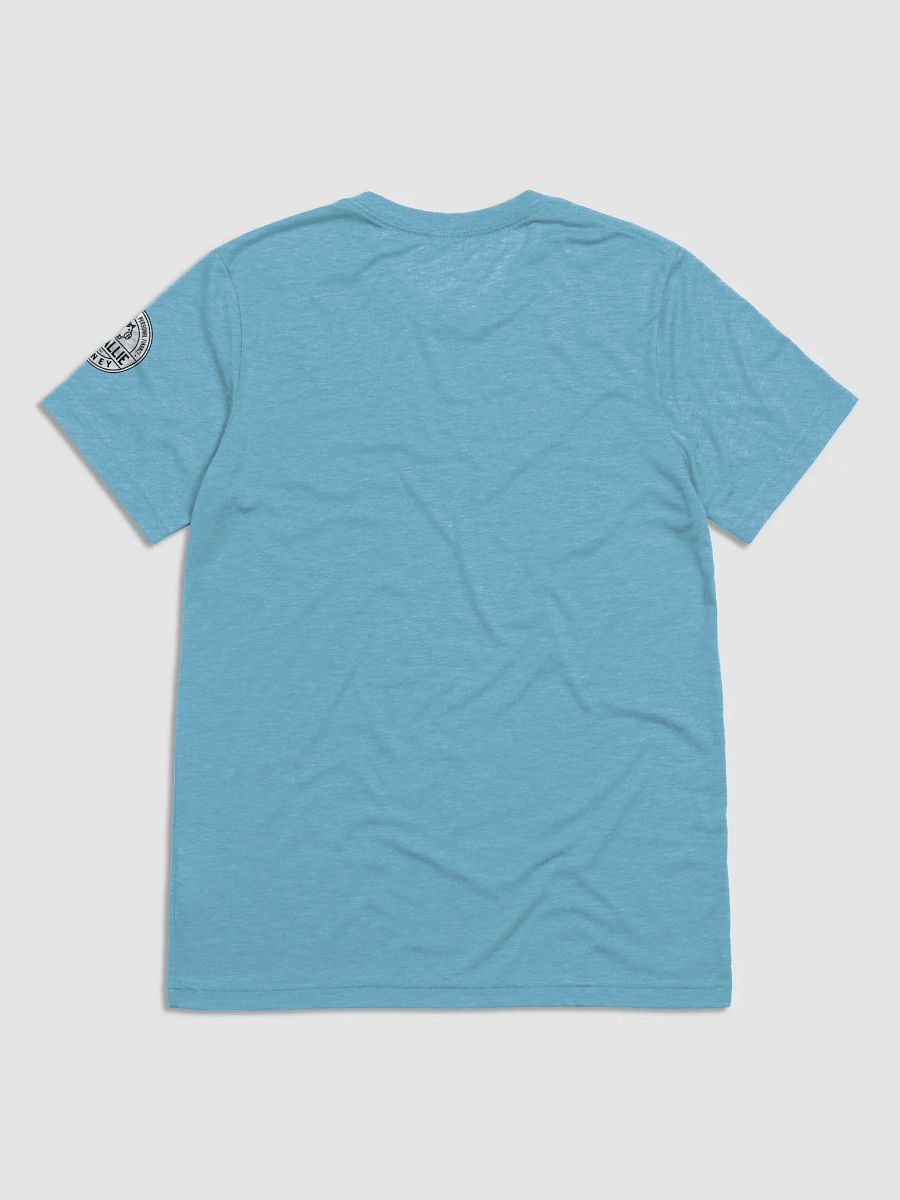 Fitted T product image (18)