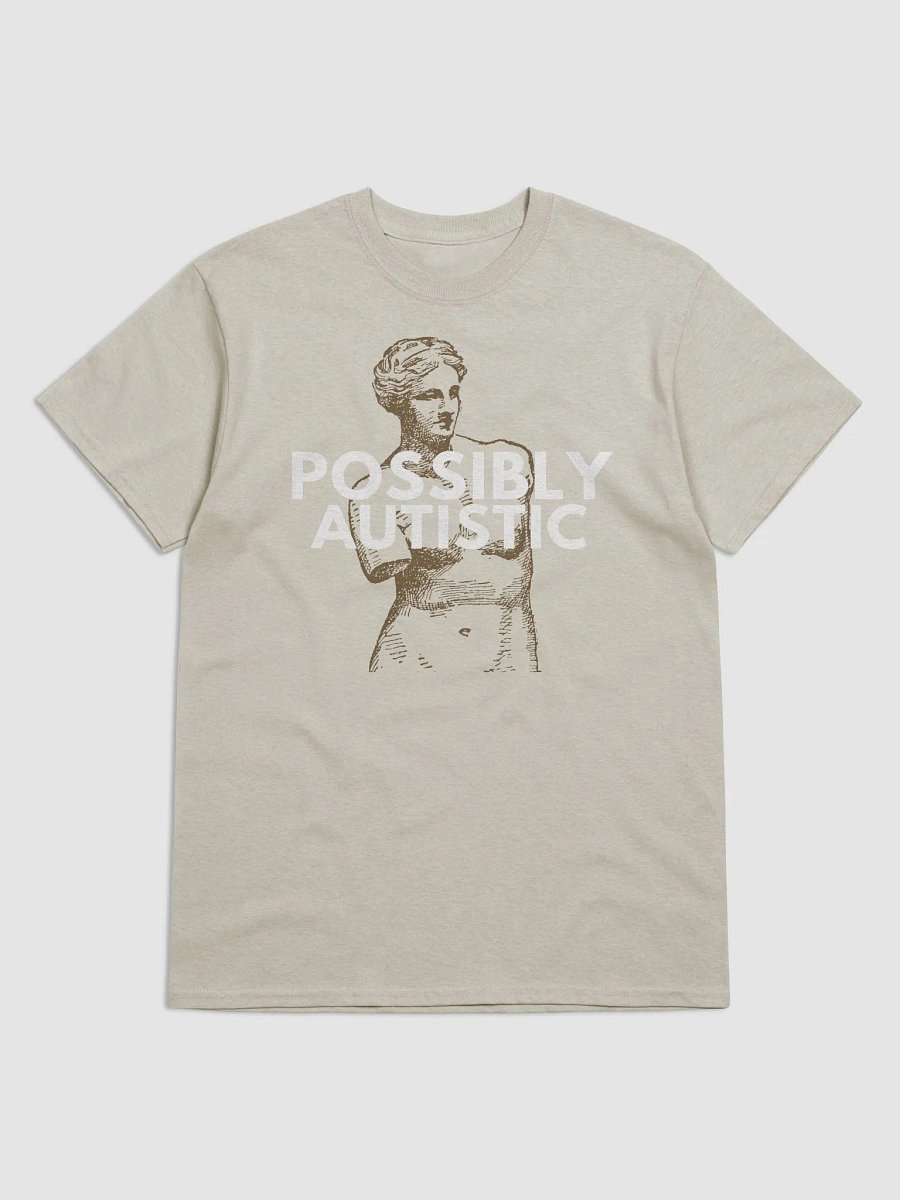 POSSIBLY AUTISTIC - SHIRT product image (1)