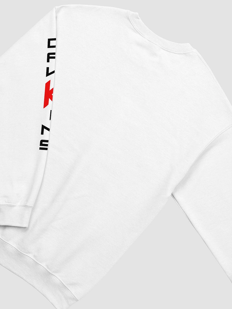 Dawkins Circle Sweatshirt (White) product image (4)