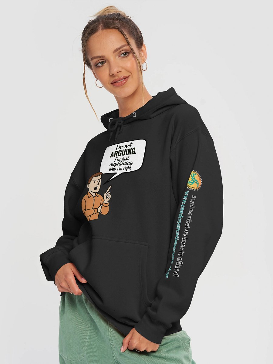 I'm not Arguing (Male) Lane Seven Premium Pullover Hoodie product image (23)