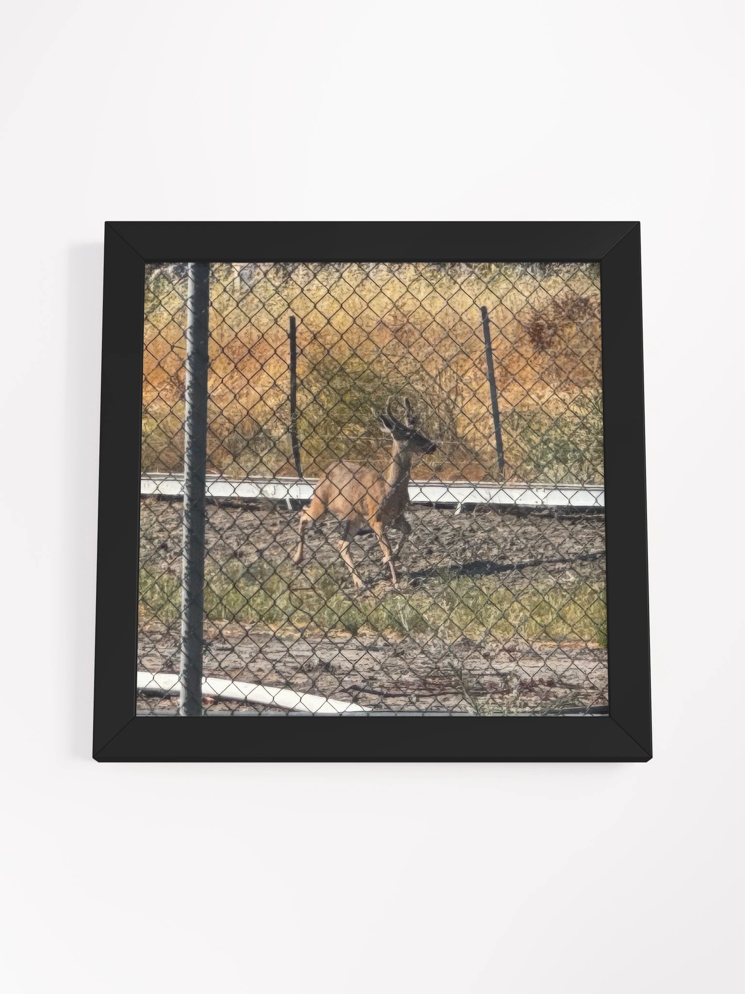 Deer product image (23)