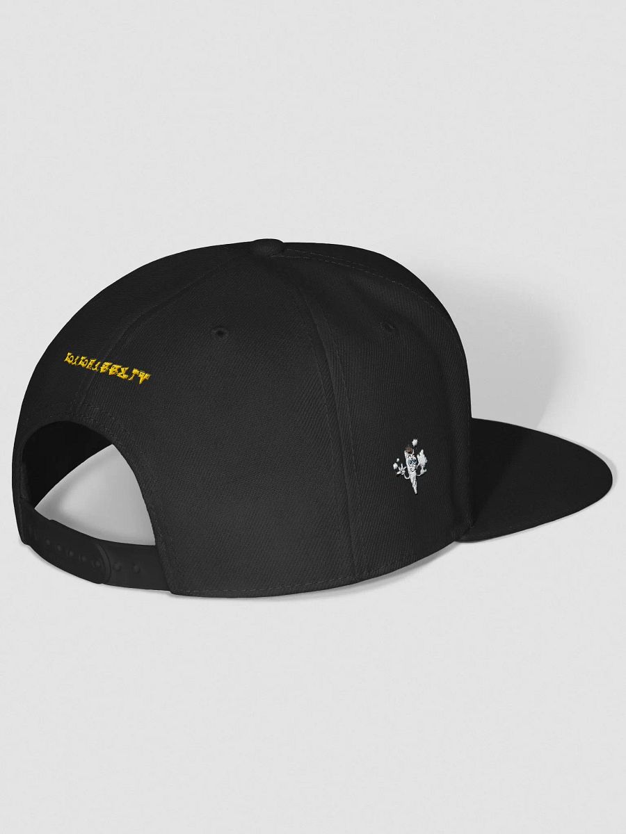 Snapback collection product image (24)