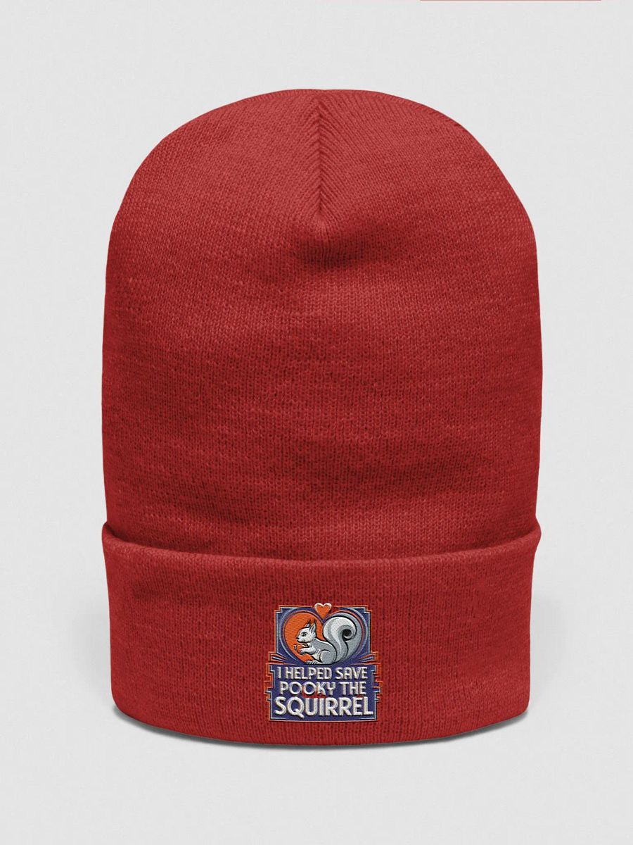 I helped Save Pooky The Squirrel Supersoft Beanie product image (1)