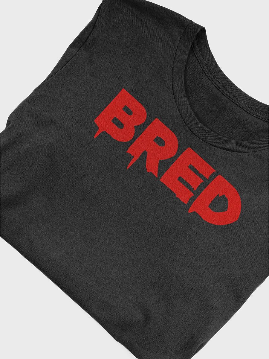 BRED (T-SHIRT) DRIP product image (3)