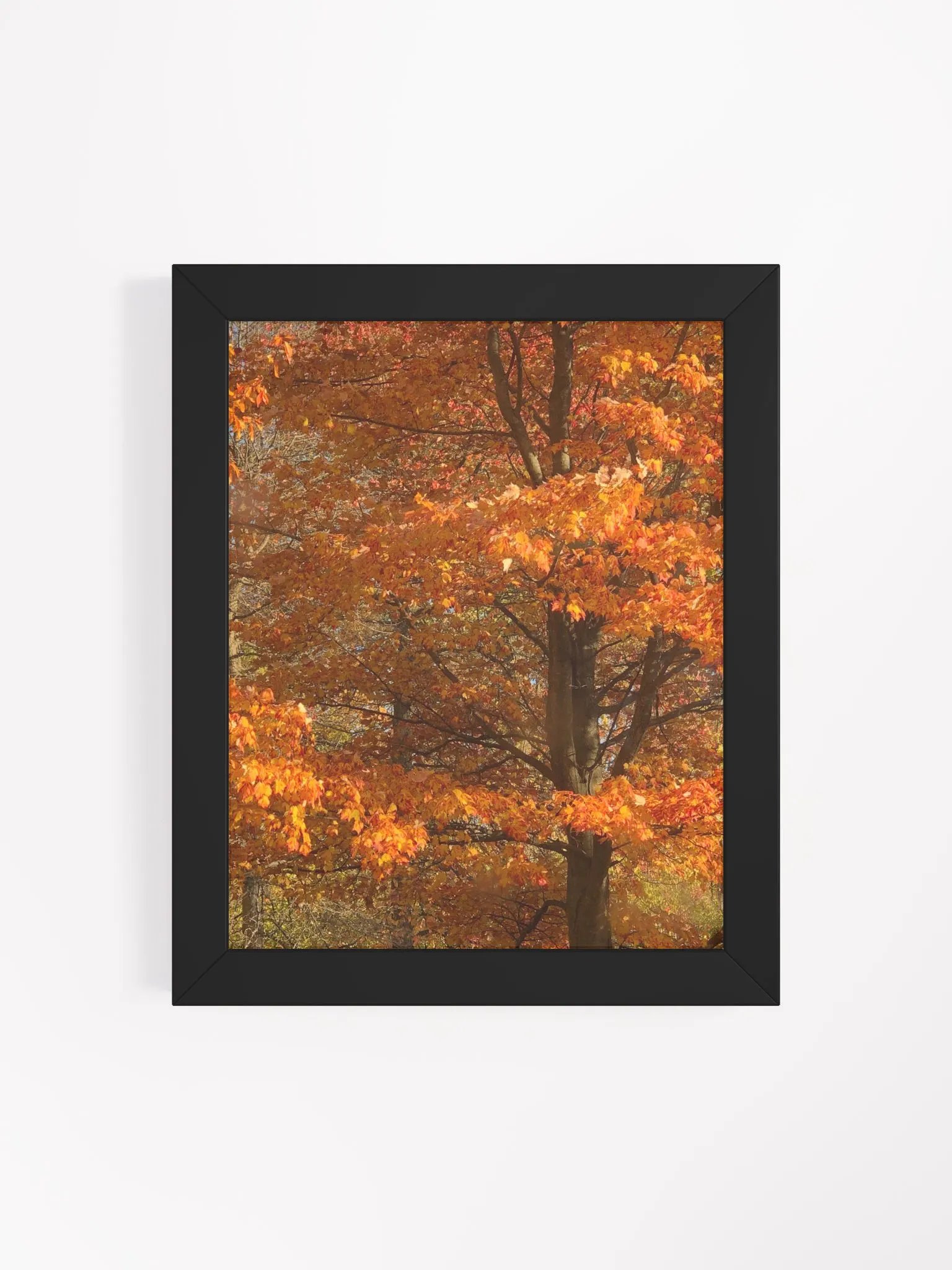 Orange Fall Leaves High Quality Matte Poster product image (4)