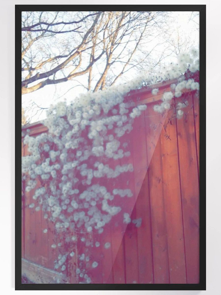 Frosty Puffs product image (4)