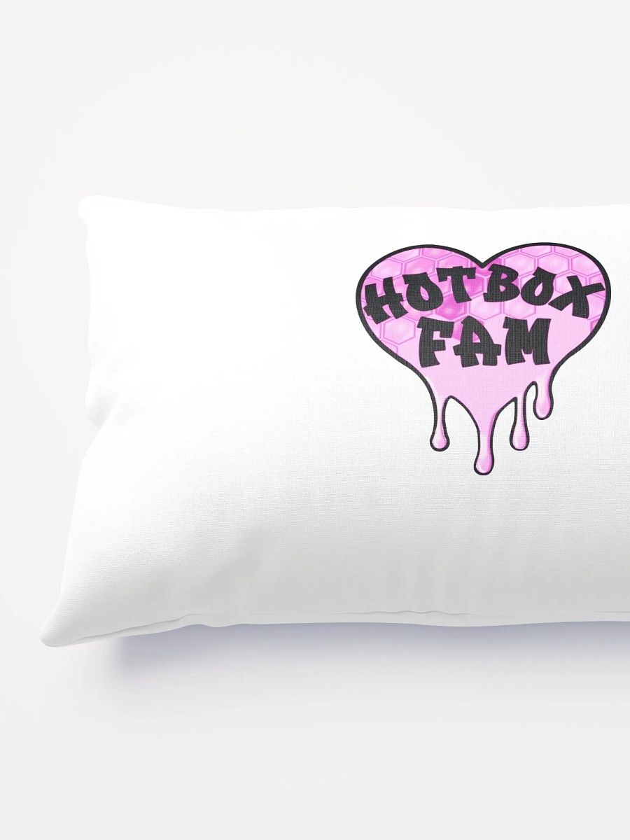 HOT BOX FAM PILLOW product image (3)