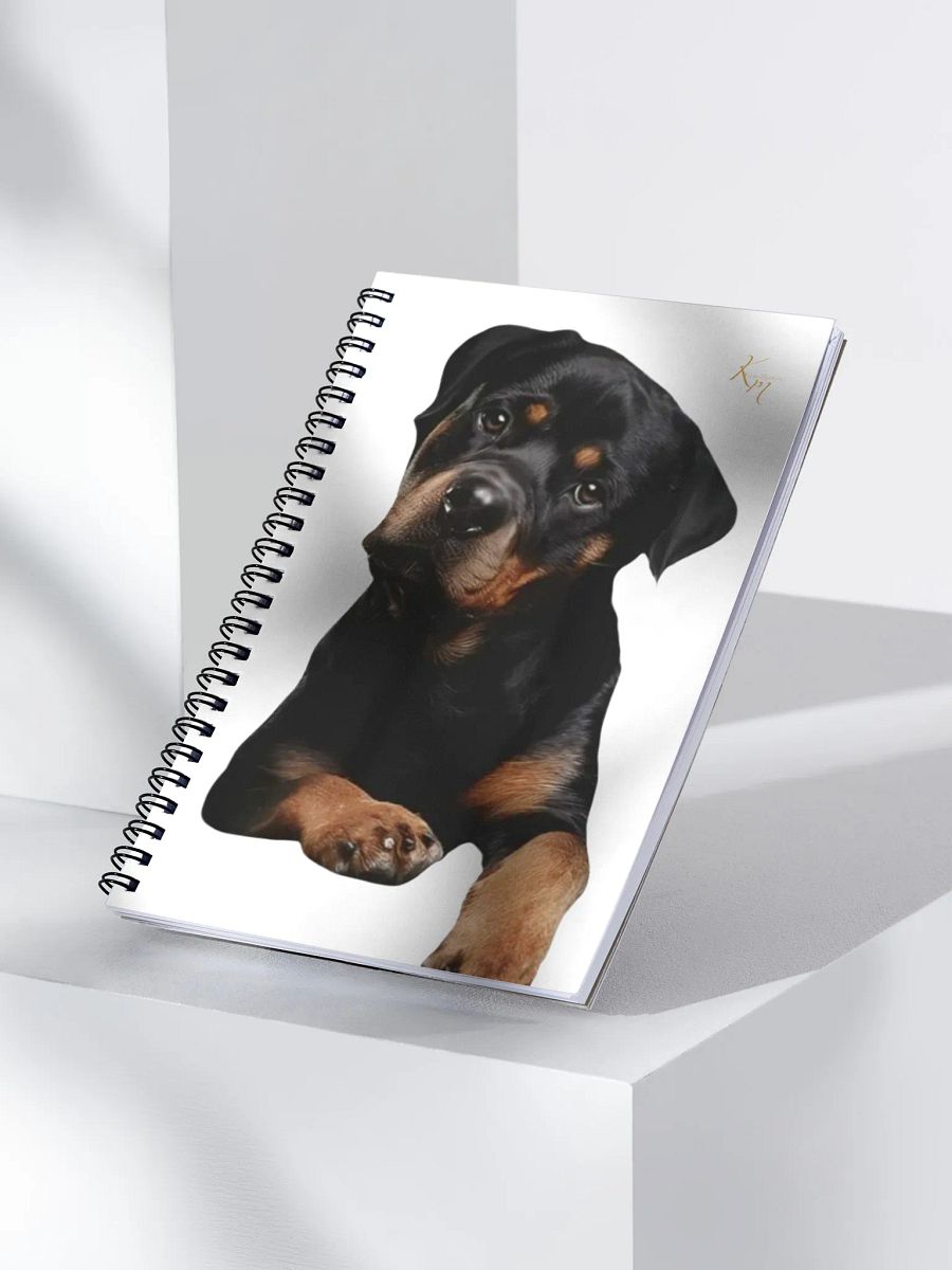 kamilliamiss product image (3)