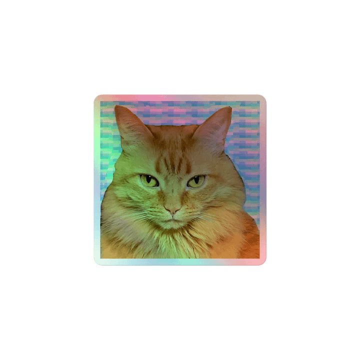 Sammy Stare Holographic Sticker Set product image (1)