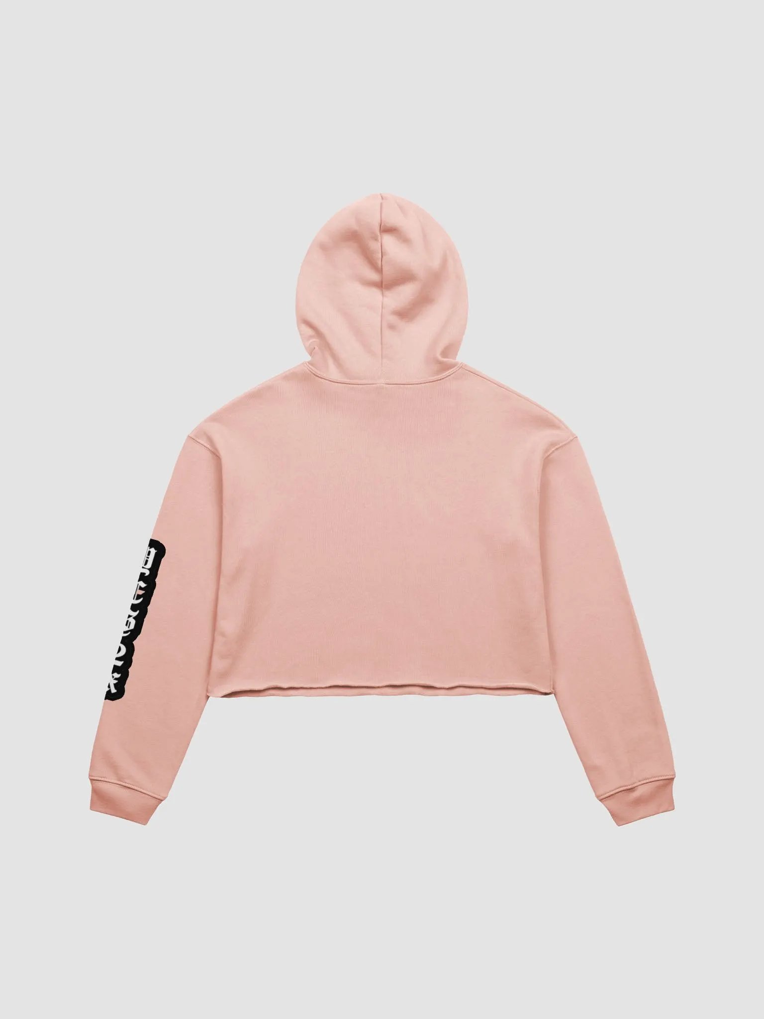 YesYes Anime Crop Hoodie product image (2)