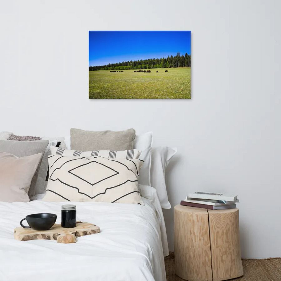 Grand Canyon Buffalo Graze product image (6)