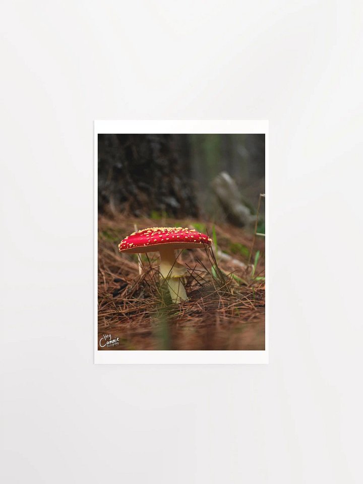 The Fae Wild - Print product image (1)