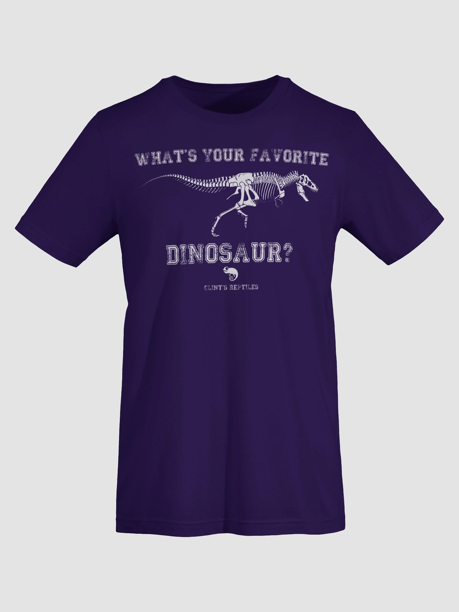 What's Your Favorite Dinosaur? product image (74)