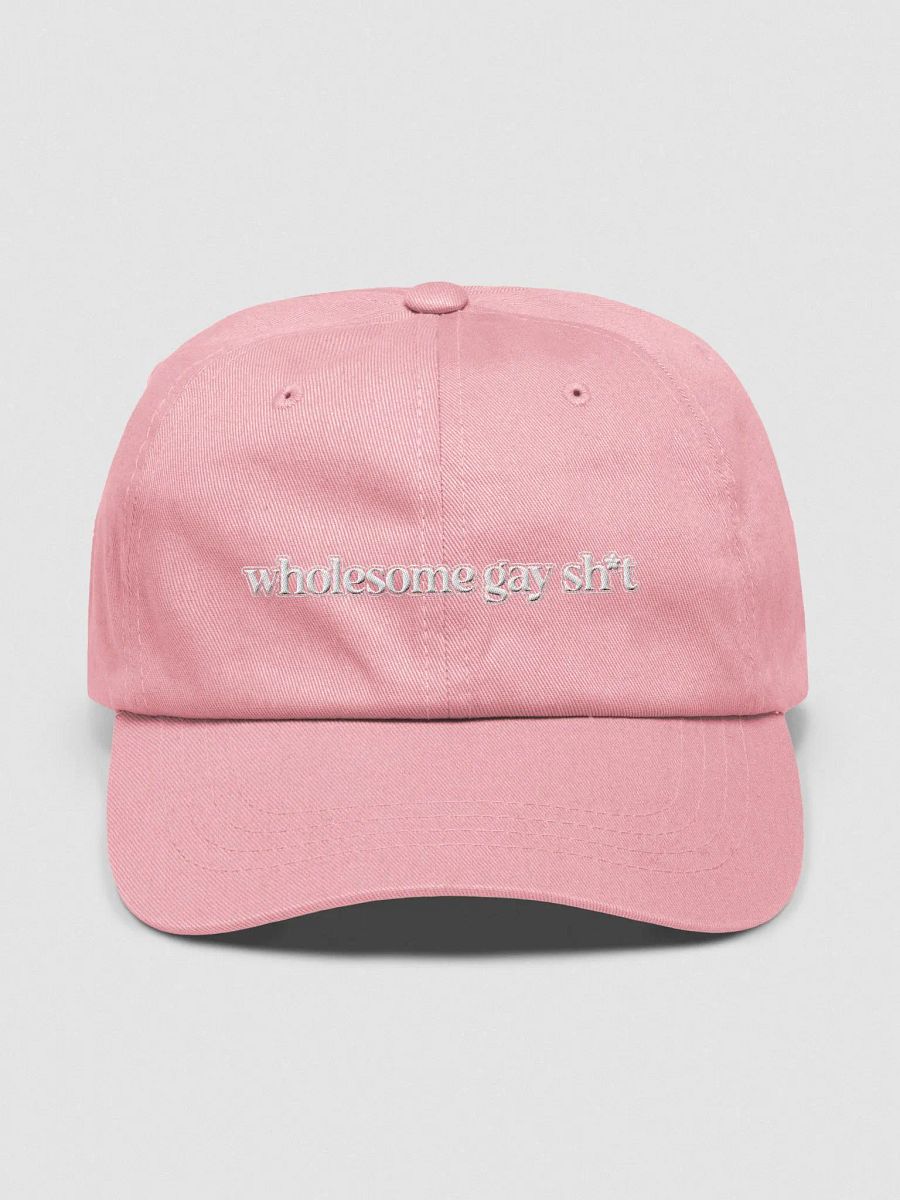 Wholesome Gay Hat product image (1)