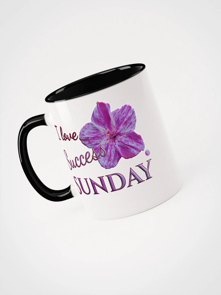 Success Sunday product image (39)