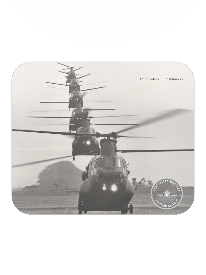 Stack of 12SQN Chinooks product image (2)