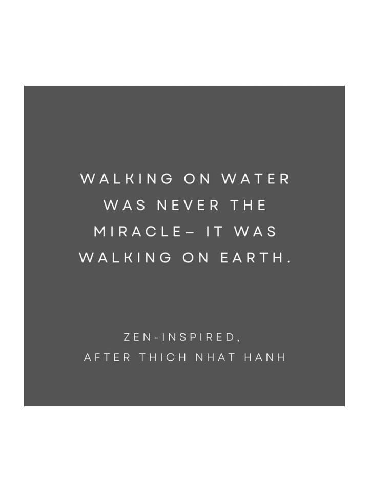 Walking On Earth. product image (1)