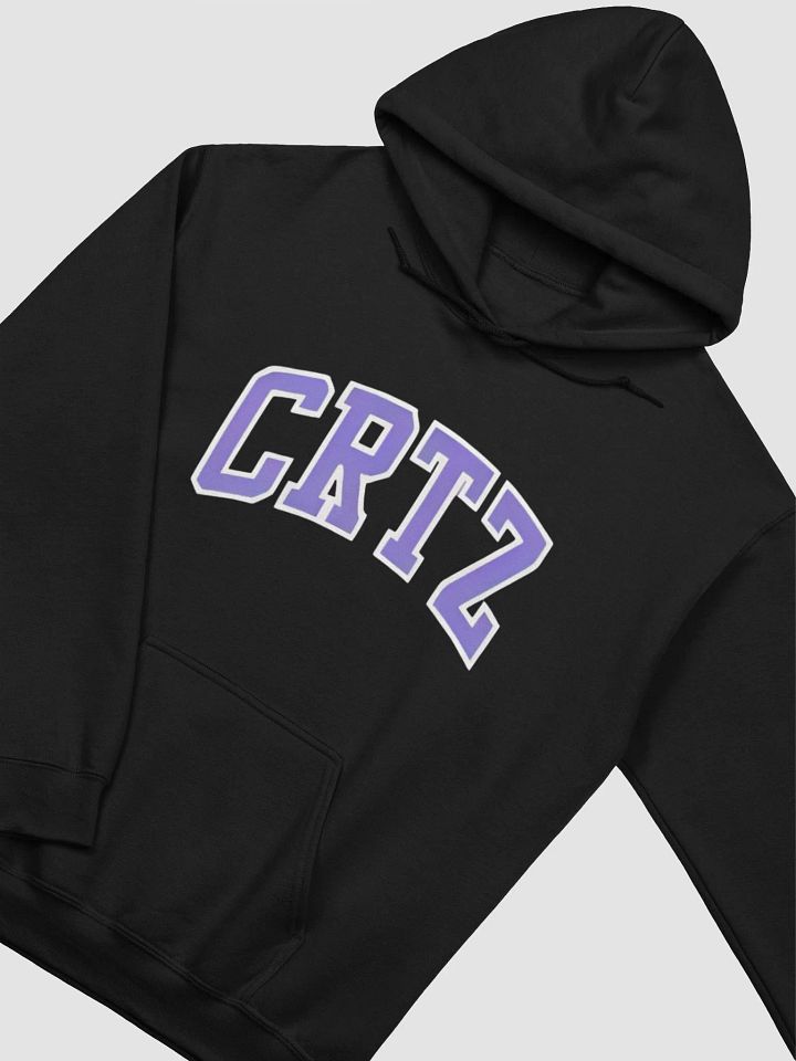 Corteiz Dropout Hoodie Black/Purple product image (2)