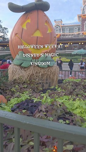 Halloween week at Disney's Magic Kingdom!!! 🍂👻🎃

#disney #disneyworld #disneygram #disneyparks #disneyprincess #disneysprings...