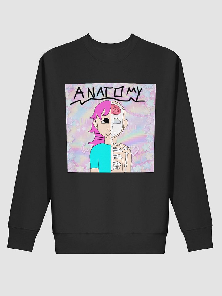 Anatomy of a kandi kid Sweatshirt product image (2)