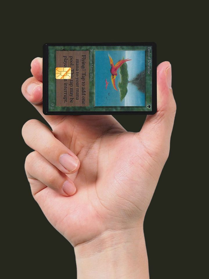 Birds of Paradise (Holographic) product image (2)