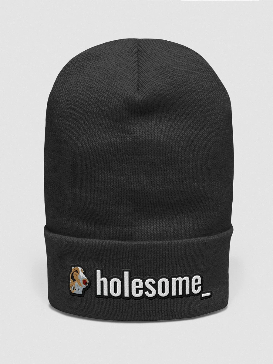 holesome_ beanie v2 product image (2)
