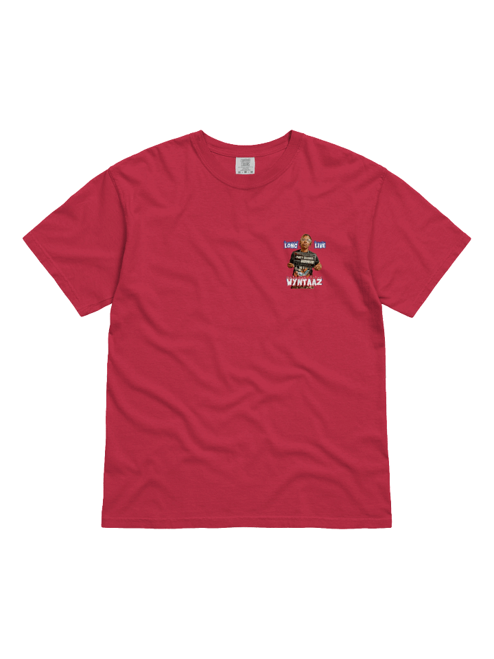 WYNTAAZ Party Crasher Graphic Tee product image (9)
