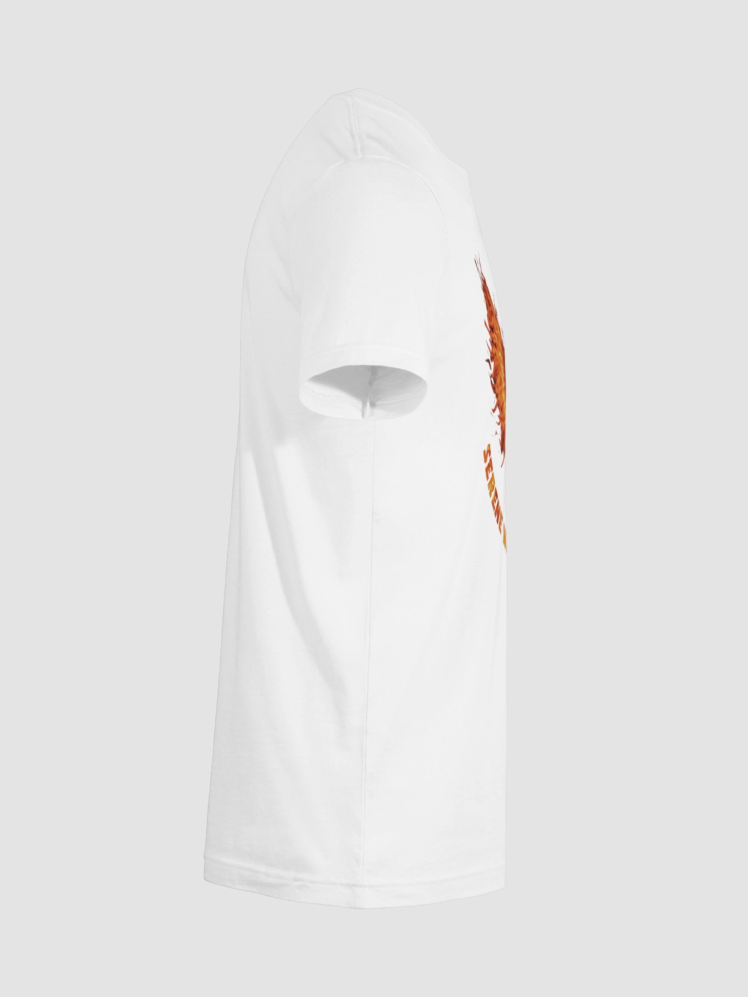 Adult Tee in Solid White Blend product image (12)