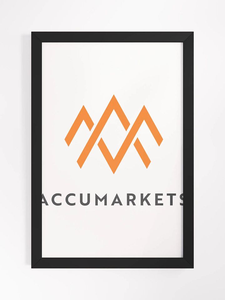 Accumarkets Canvas product image (2)