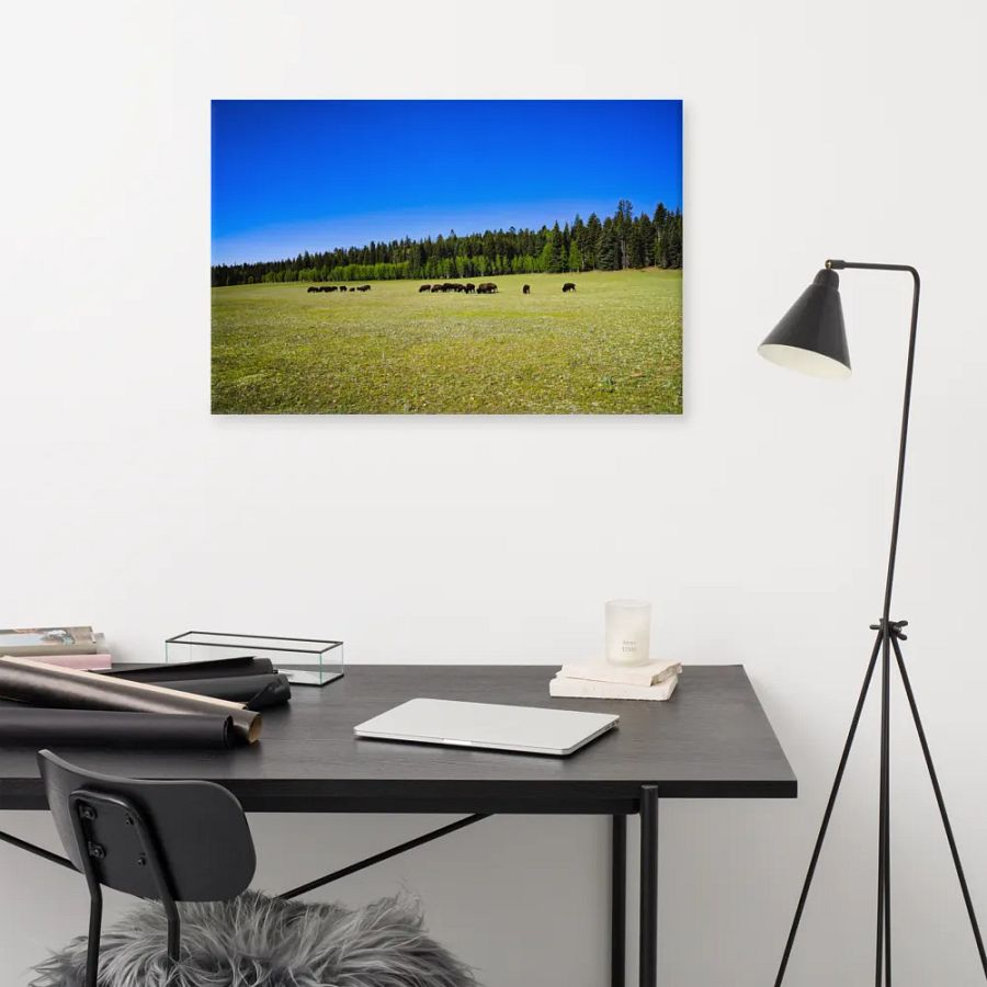Grand Canyon Buffalo Graze product image (11)