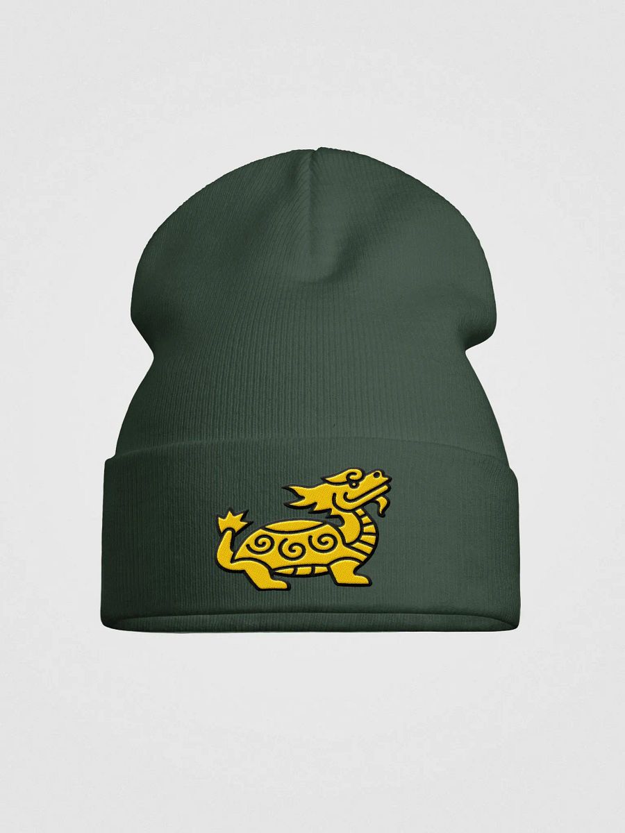 Dragon Turtle Beanie product image (3)