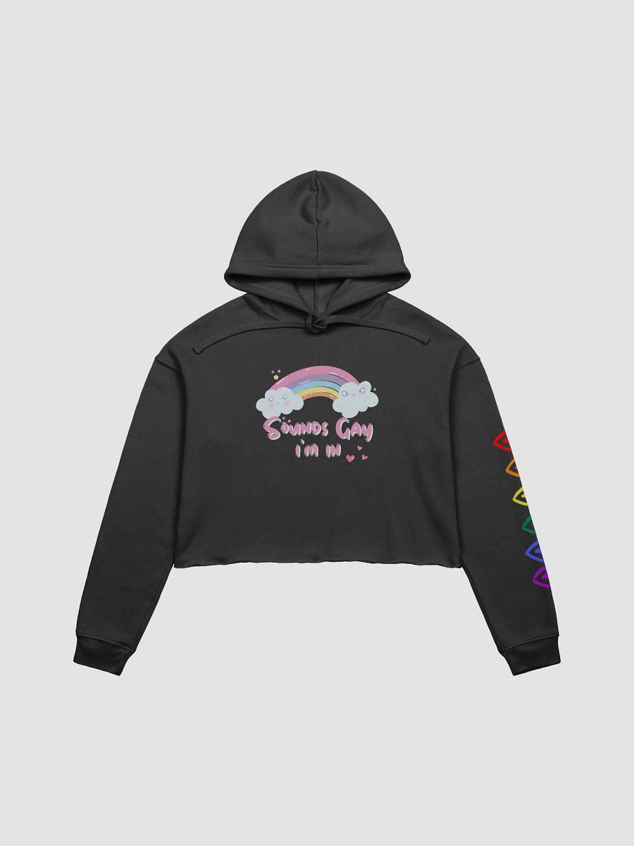 Sounds Gay Crop Hoodie product image (1)