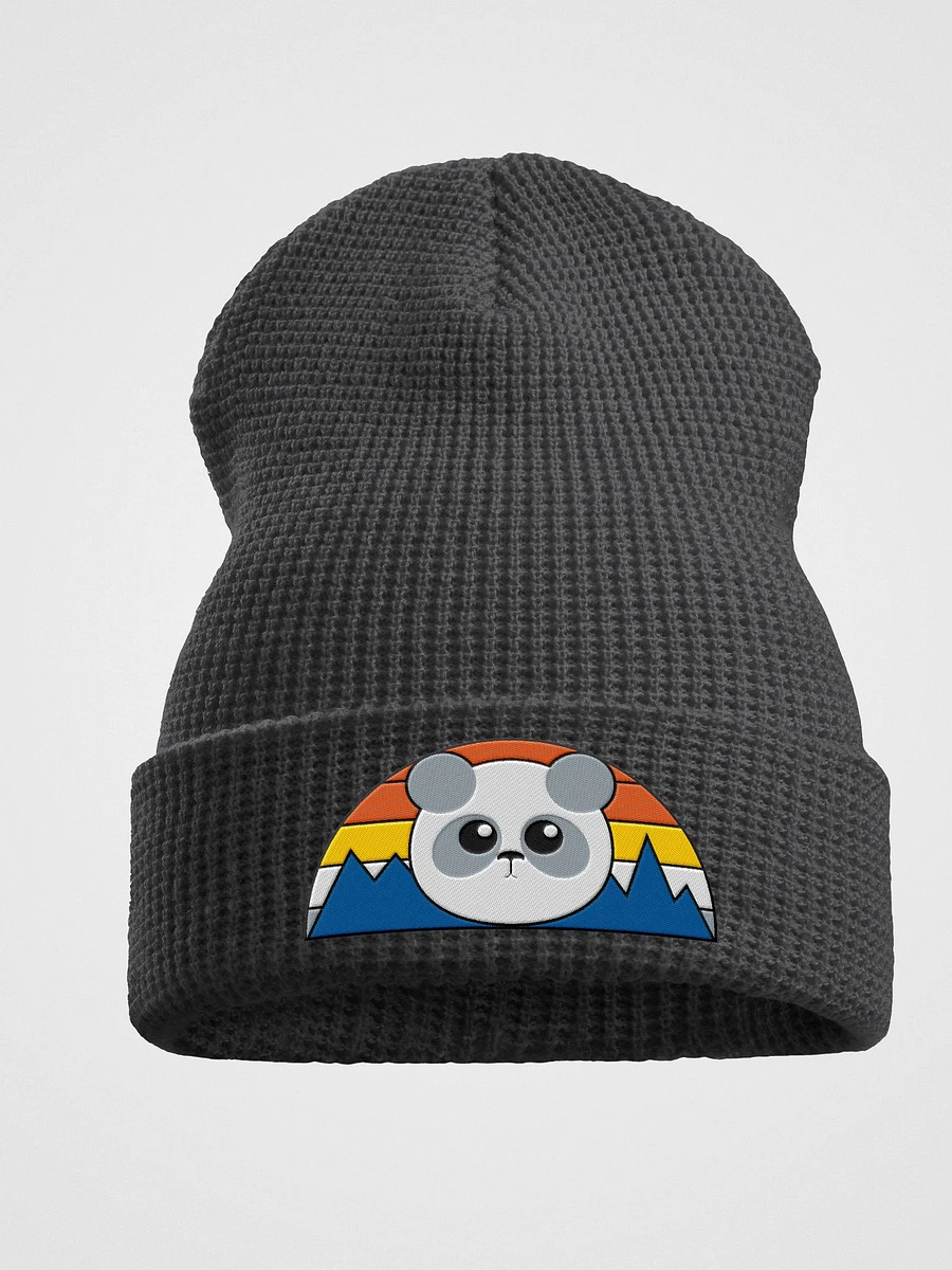 Pandah Beanie product image (1)