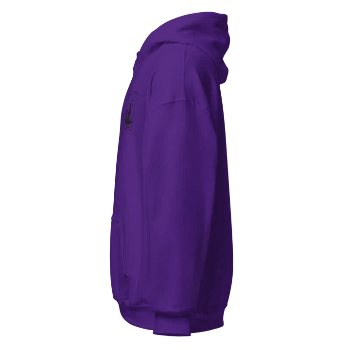 The Hag Tarot Hoodie product image (30)