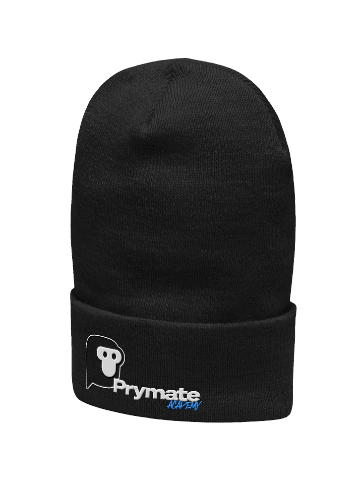 The Academy Beanie product image (2)