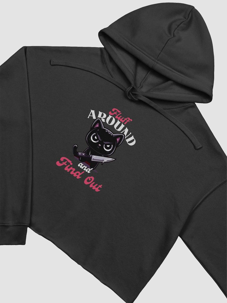 Fluff Around and Find Out Crop Hoodie product image (10)