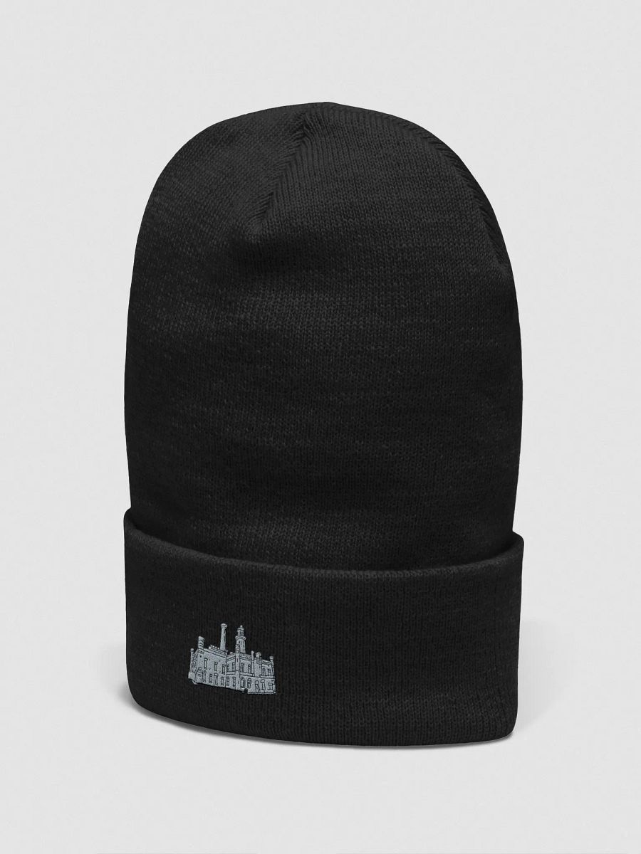 Lookingglass Castle Beanie product image (22)