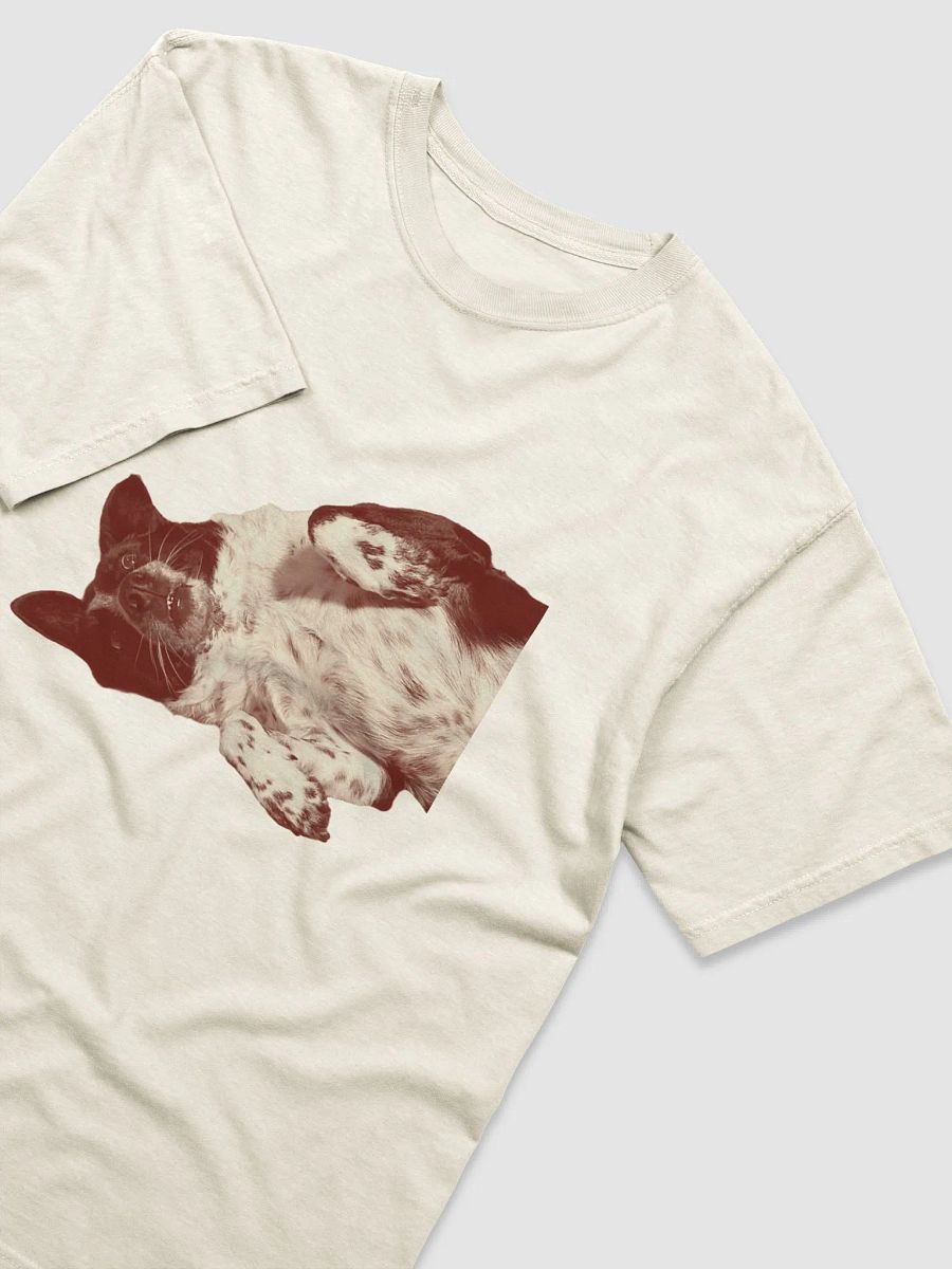 Zenith's Shirt product image (3)