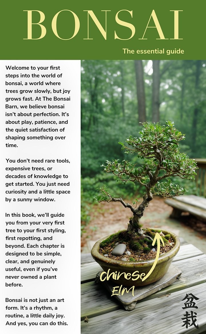 Essential Bonsai Guide : Bonsai for Beginners product image (2)
