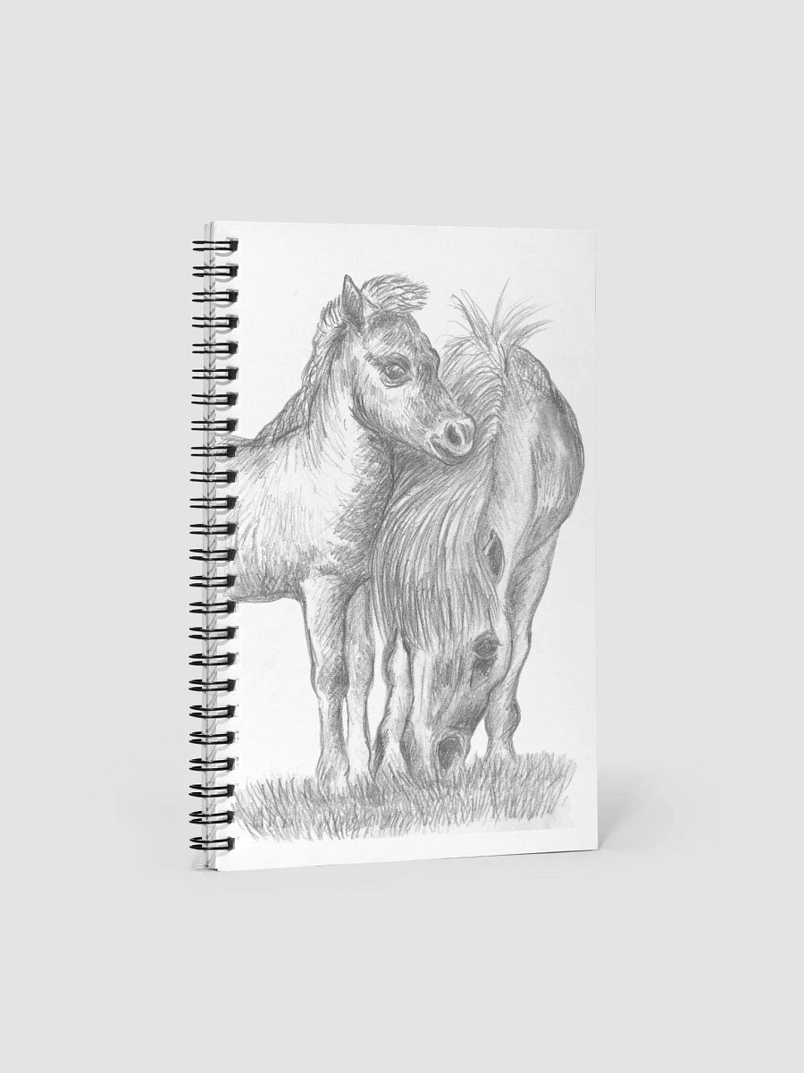 Shetland pony and foal Journal product image (1)
