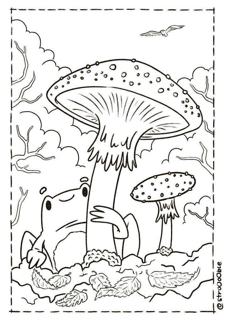 colouring page : froge shelter product image (1)
