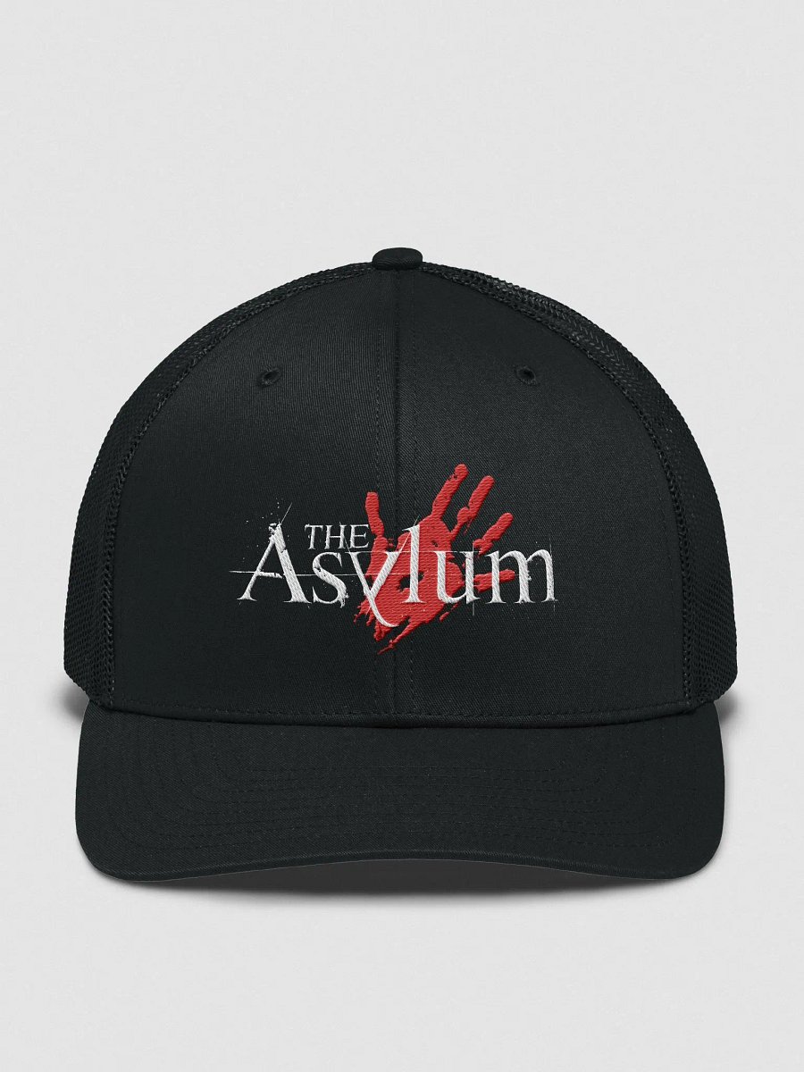 The Asylum product image (2)
