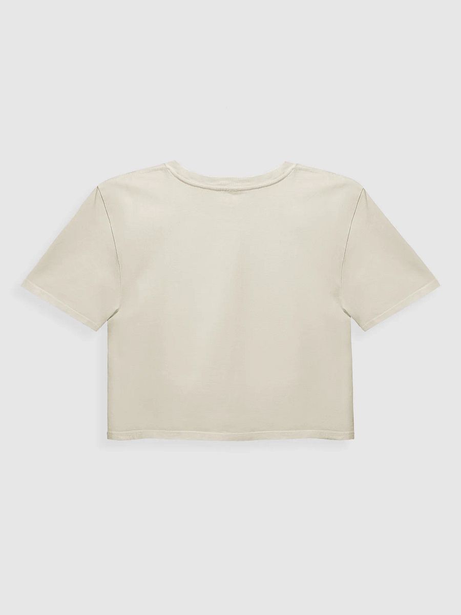 Love is Love - Cropped Tee product image (8)