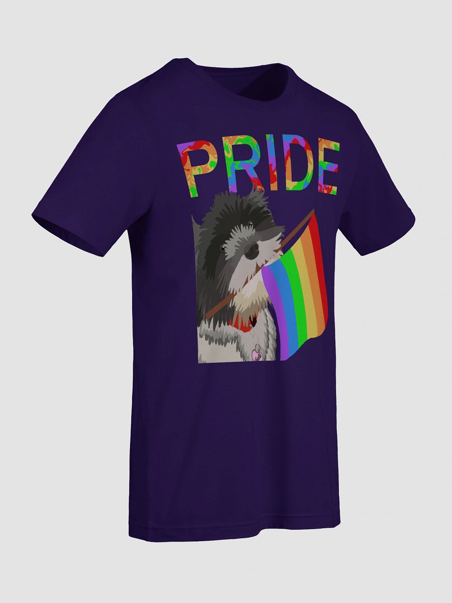 PRIDE 2025 - Bella PRIDE Tee product image (91)